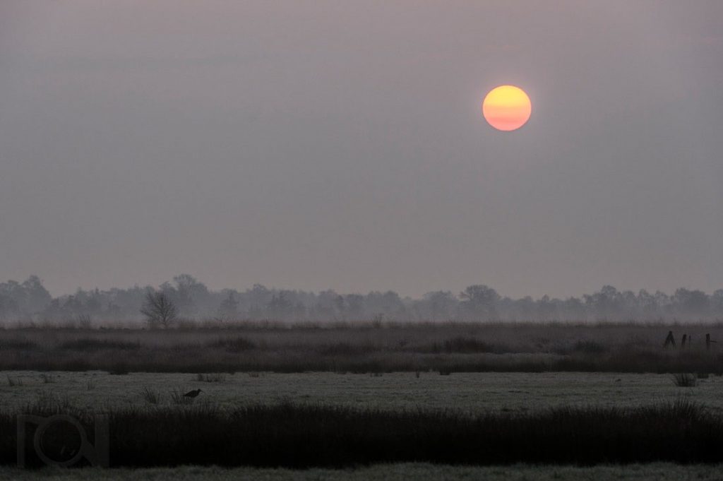 Sonnenaufgang im Venn