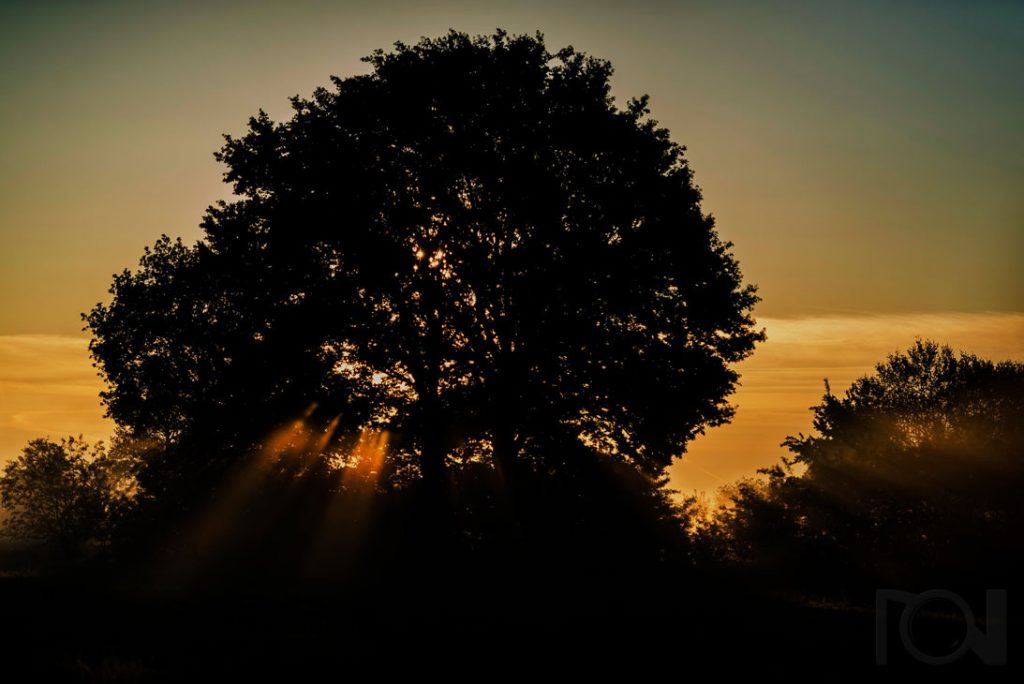 Sonnenaufgang im Münsterland